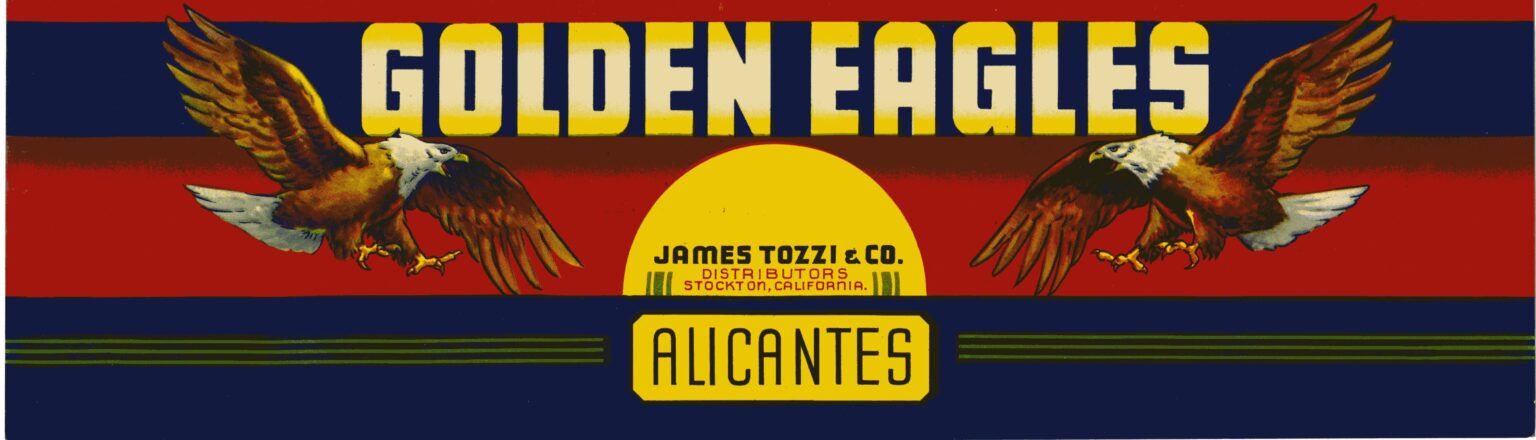 Golden Eagles